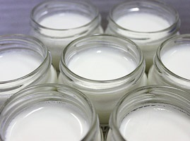 Test de testare a iaurtului