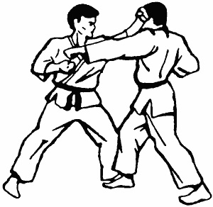Tehnica de lovituri - karate pentru incepatori