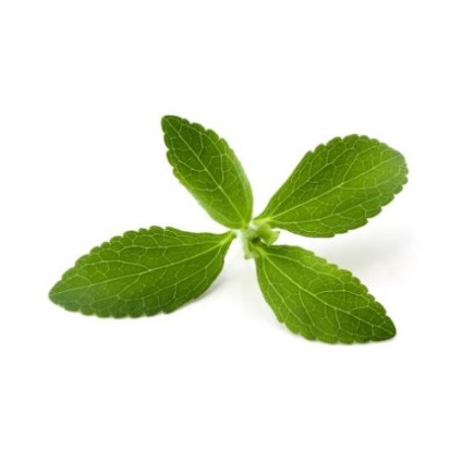 Herb stevia - proprietăți utile, contraindicații și caracteristici de aplicație