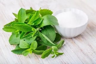 Herb stevia - proprietăți utile, contraindicații și caracteristici de aplicație