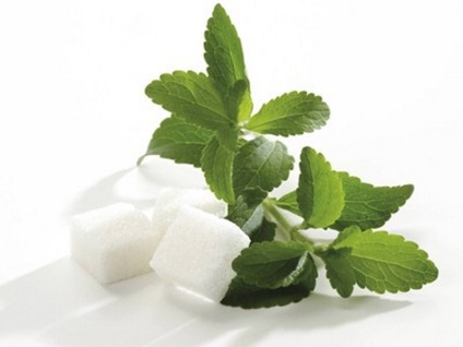 Herb stevia - proprietăți utile, contraindicații și caracteristici de aplicație