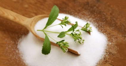 Herb stevia - hasznos tulajdonságok, ellenjavallatok és alkalmazási lehetőségek