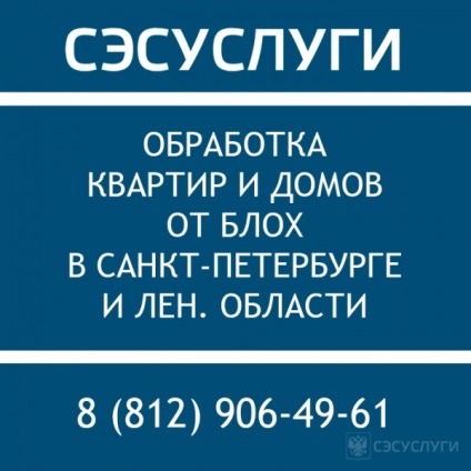 Mușcături ale caracteristicilor, simptomelor și tratamentului puricilor