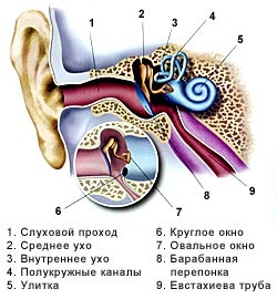Urechi sub presiune și metode de suflare