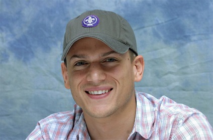 Wentworth Miller biografie și viața personală