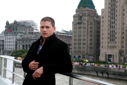 Wentworth Miller biografie și viața personală