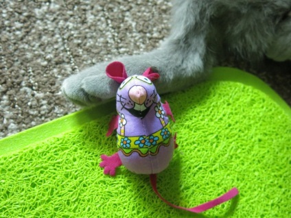 Un mouse vesel pentru o pisică!