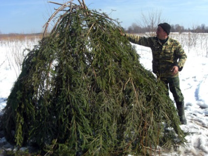 Весняне полювання з підсудний качкою на селезня