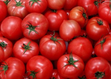 Cultivarea tomatelor într-o seră din policarbonat, de la alegerea soiului până la recoltare