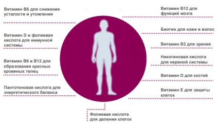 Vita aktiv, vita un complex activ de vitamine din lr - cumpara, feedback, descriere