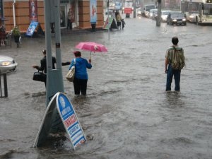 Autoritățile calculează posibilitatea înființării unei întreprinderi speciale pentru întreținerea șeptelului