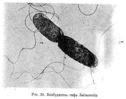 Transmiterea apei este cea mai importantă fiind transmiterea prin apă a infecțiilor intestinale