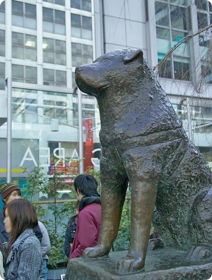 Hachiko - cel mai loial prieten - povești - pentru suflet - articole - școală de bucurie