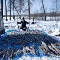 Oamenii de pe Yakut care prind plasele pescarilor din Yakut nu sunt mulțumiți de legislația federală care nu ia în considerare