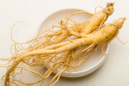 Ginseng cu rețete eficiente de prostatită și reguli de tratament