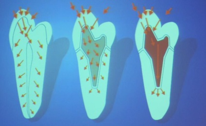 Stomatologii cunosc bazele forumului de fizică pentru dentiști, tehnicieni dentari și pacienți