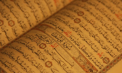 11 Interesante despre arabă - linguis, linguis