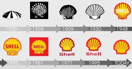 20 Exemple de evoluție a siglei