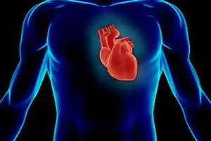 Az aorta érelmeszesedése az, ami az, és melyek a mellkasi és a hasi aorta érelmeszesedésének tünetei