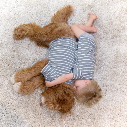 Bunica a făcut câinele și nepotul adoptiv stelele instagramului