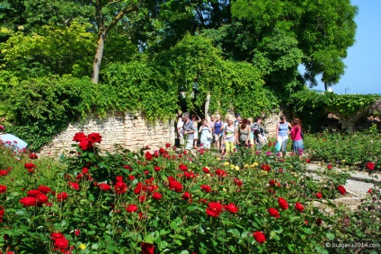Grădina Botanică Balcic - Bulgaria 2014