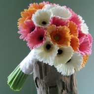 Buchet de mireasa din gerbera