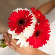 Buchet de mireasa din gerbera