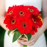 Buchet de mireasa din gerbera