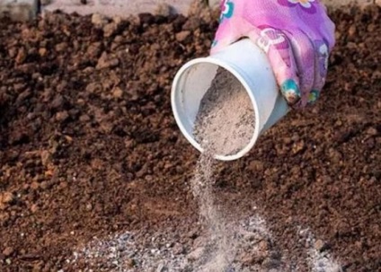 Cum să fertilizeze terenul înainte de a planta usturoi