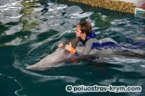 Dolphinarium în Golful Cossack, recreere cu copii în Crimeea, atracțiile din Crimeea