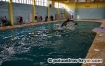 Dolphinarium în Golful Cossack, recreere cu copii în Crimeea, atracțiile din Crimeea