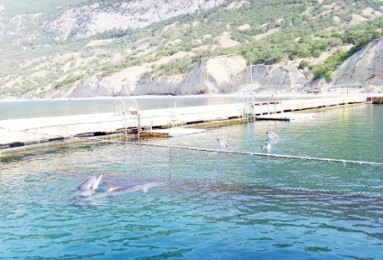 Dolphinarium în Golful Cossack (acum în Golful Laspi) descriere, recenzii, cum să obțineți, Sevastopol