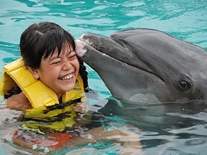 A Szekastopolban (a kozáki öbölben) található Dolphinarium kizárólag orvosi és szabadidős tevékenységeket kínál