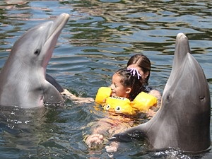 A Szekastopolban (a kozáki öbölben) található Dolphinarium kizárólag orvosi és szabadidős tevékenységeket kínál