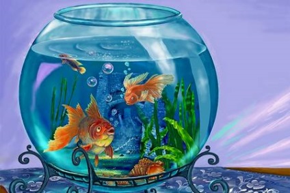 Animale de companie - pește de acvarii pentru copii