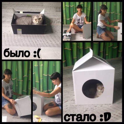 Cabana pentru o cutie de lapte pentru pisici (kotofabrika) recenzii, fotografii, video, asamblare - murkote despre pisici și pisici