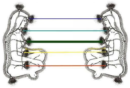 Свързването на енергия - езотерична информация