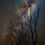 Fotografii ale Calea Lactee - cele mai spectaculoase poze