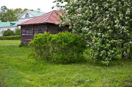 Poziția vieții clare a fotografiilor