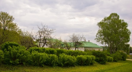 Poziția vieții clare a fotografiilor