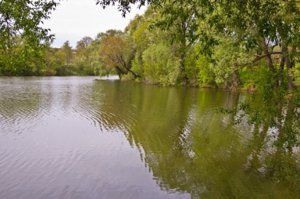 Poziția vieții clare a fotografiilor