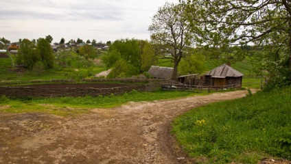 Poziția vieții clare a fotografiilor