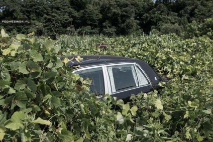 Fukushima după 5 ani