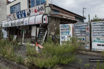 Fukushima după 5 ani