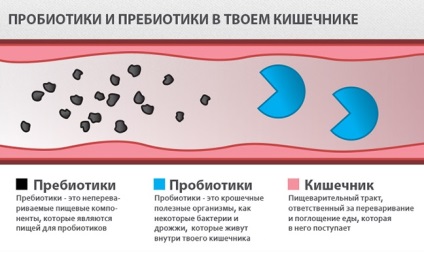 Unde ne găsiți probioticele vitale pentru intestin