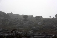 Muntele Roraima - traseu, căutarea și pregătirea ghidului, alpinism, platou roraimy - cum se ajunge acolo
