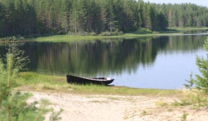 Locurile de ciuperci din Karelia - top 7, odihnă acasă