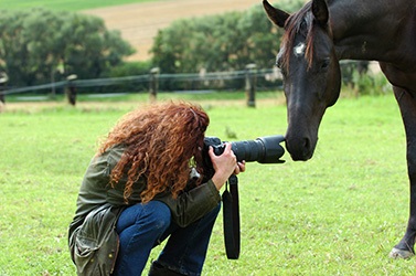 Cum să fotografiezi caii și cum să fii fotografiat cu cai