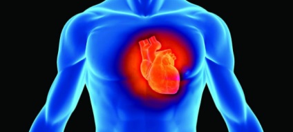 Milyen infarktusos lokalizációs és sérülési területek - az egészségvonal?