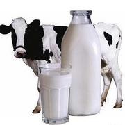 Milyen tej a cukorbetegség (cukorbetegek) 1 és 2 típus lehet tehén, kecske, tejsavó, tejtermékek